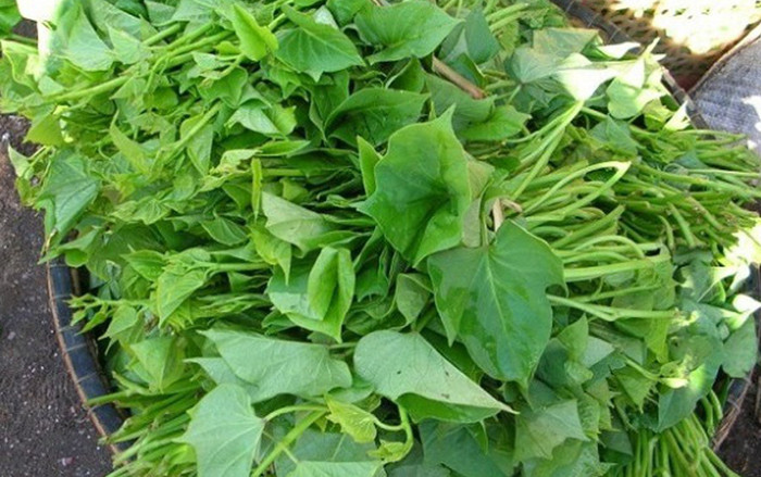 Loại rau được Nhật gọi là 'nhân sâm trường thọ', chợ Việt Nam bán chỉ vài nghìn đồng/bó Ảnh 2