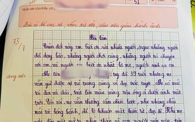 Bài văn tả mẹ đạt gần điểm tuyệt đối, cô giáo hết lời khen ngợi ở phần lời phê Ảnh 2