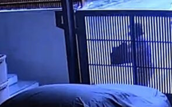 Nam ca sĩ bị kẻ lạ đột nhập nhà riêng hơn 20 lần trong 4 tháng, kiểm tra camera thì thấy hành động lạ Ảnh 2