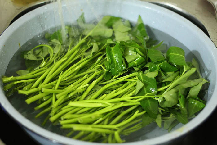 Trước khi chế biến, hãy ngâm rau trong nước muối loãng hoặc nước sạch ít nhất 15–30 phút. (ảnh minh họa từ Internet)