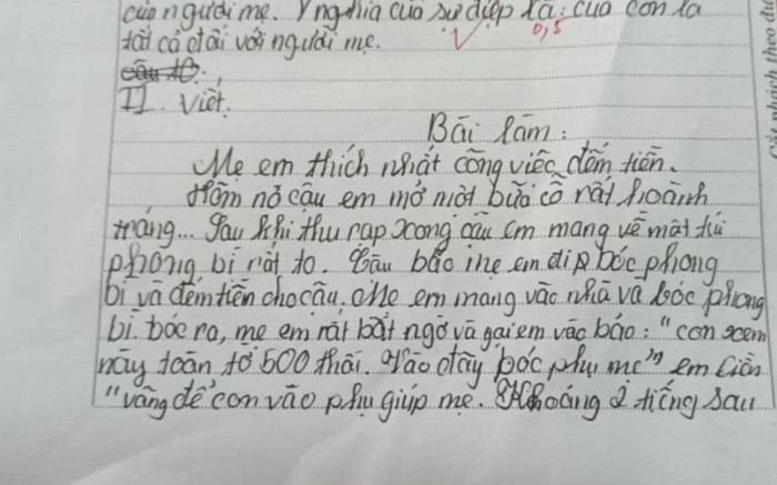 Bài văn tả công việc yêu thích của mẹ, câu mở đầu đã khiến dân tình cười ngất Ảnh 2
