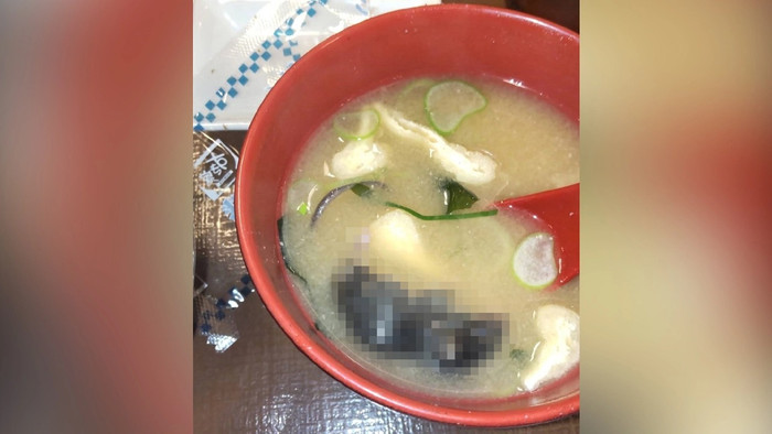 Nhà hàng gây sốc khi để nhân viên phục vụ chén súp có chuột chết Ảnh 1