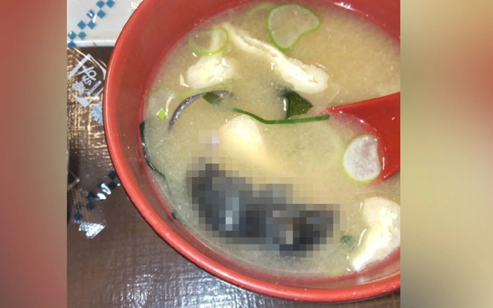 Nhà hàng gây sốc khi để nhân viên phục vụ chén súp có chuột chết Ảnh 2