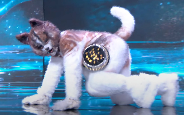 Tranh cãi phần trình diễn giả chó của thí sinh Miss Grand Thailand Ảnh 2