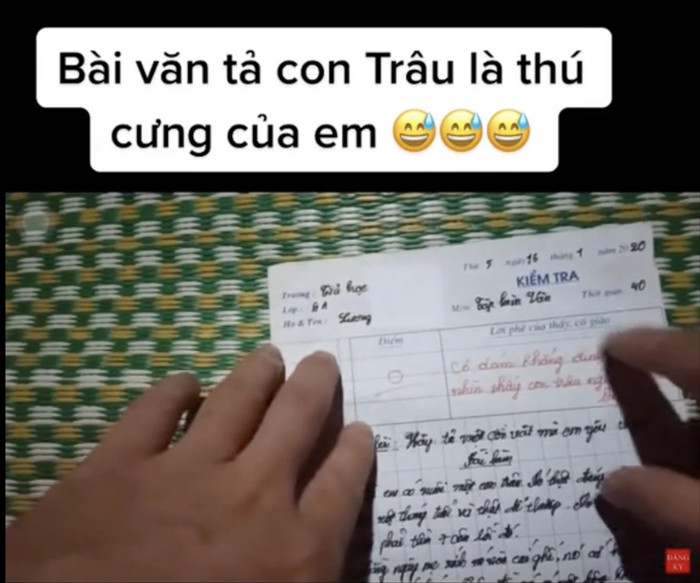 Bài văn tả con trâu được 0 điểm nhận được sự chú ý trên mạng xã hội.