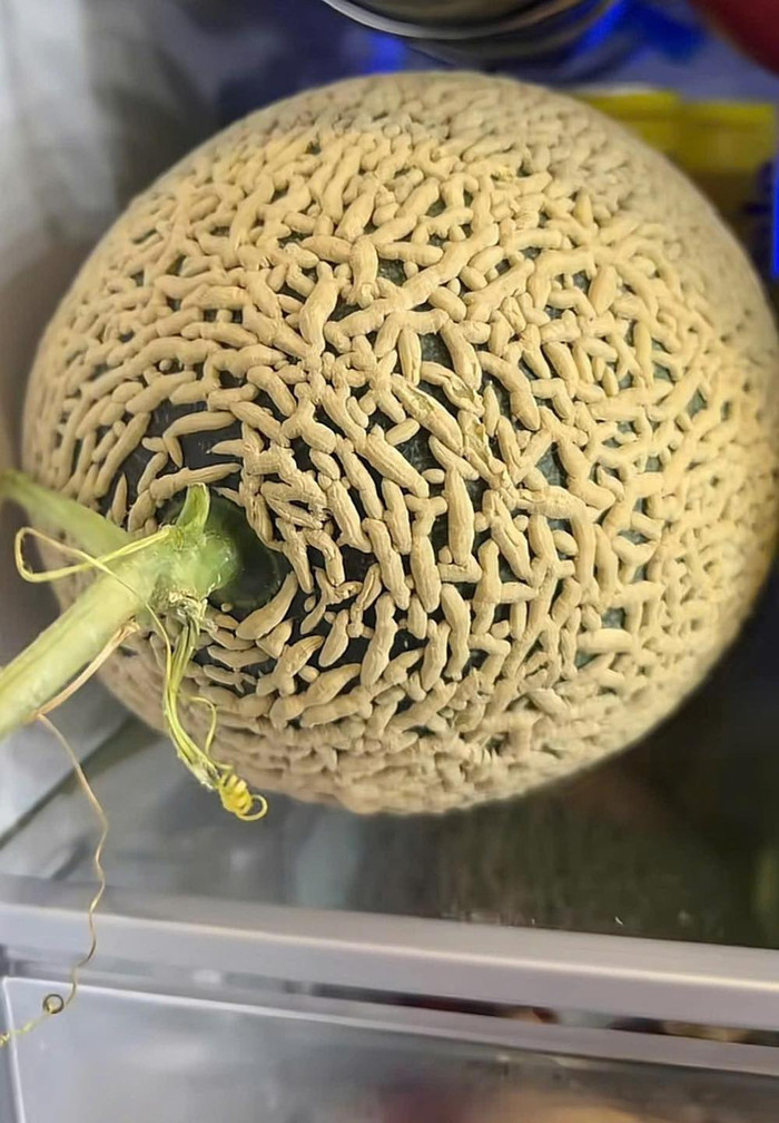 Ảnh: Lem hay ăn vặt