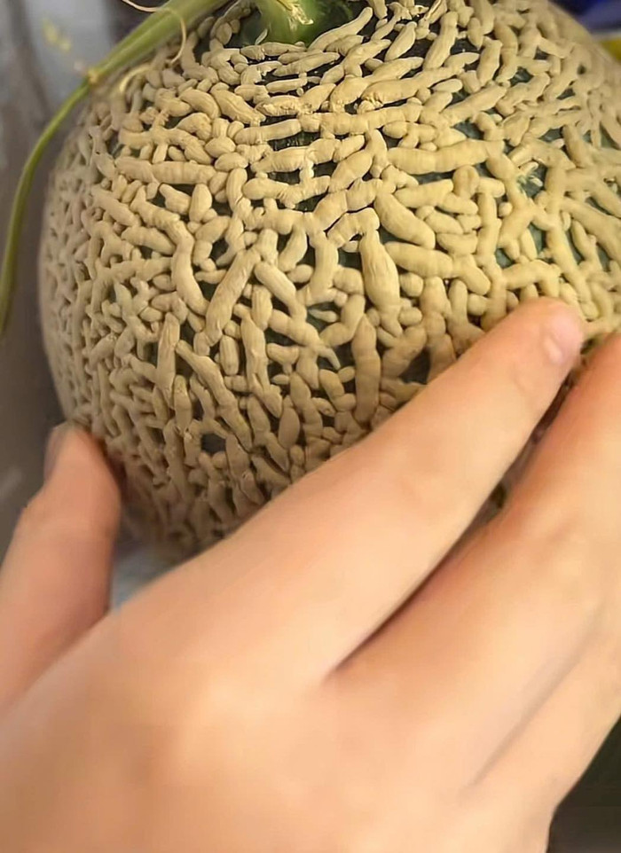 Ảnh: Lem hay ăn vặt