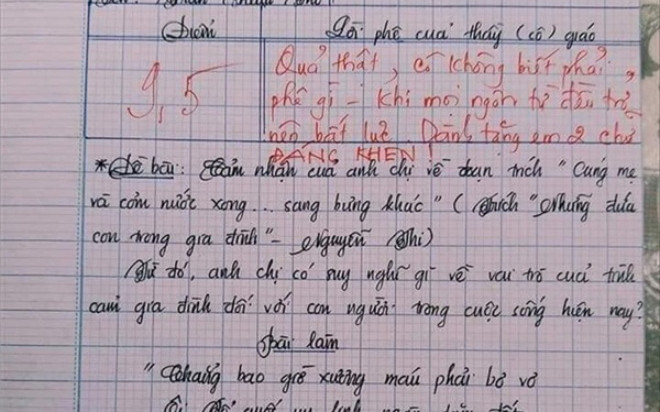 Bài văn đạt 9.5 điểm, cô giáo thừa nhận bất lực vì không biết phê gì Ảnh 2