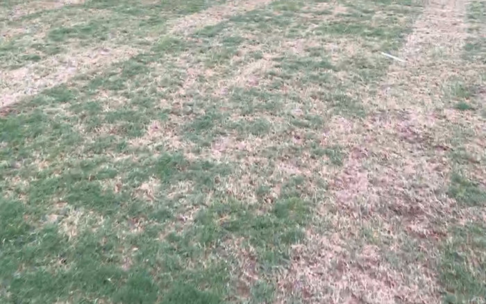 HLV Vũ Tiến Thành: Mặt sân Mỹ Đình xấu như sân huyện Đắk Đoa Ảnh 2