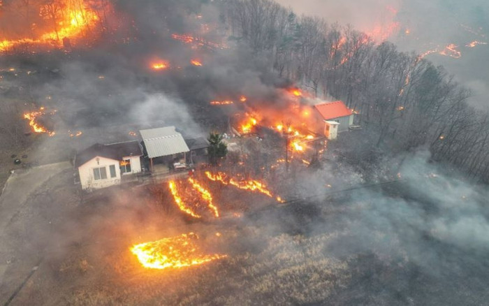Cháy rừng ở Hàn Quốc bùng phát lại, số người thiệt mạng tiếp tục tăng Ảnh 2