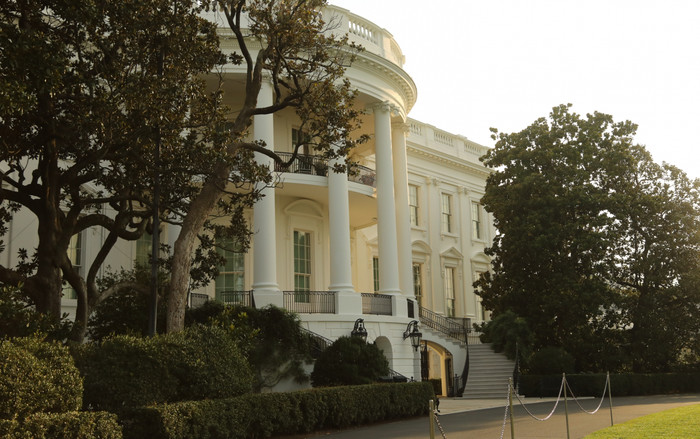 Cây mộc lan biểu tượng của Nhà Trắng bị chặt bỏ sau 200 năm Ảnh 2