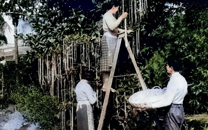 Những cú lừa lịch sử trong ngày Cá tháng tư Ảnh 2
