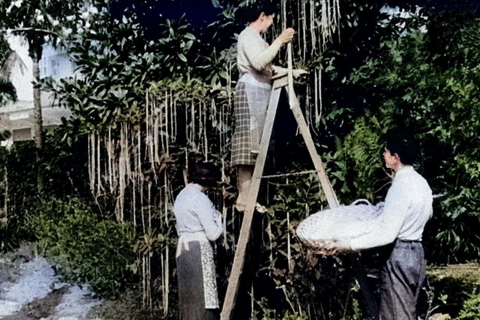 Những cú lừa lịch sử trong ngày Cá tháng tư Ảnh 4