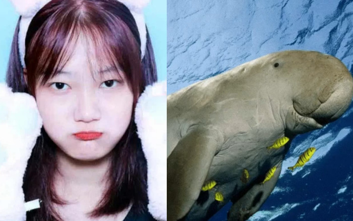 Tin tức hôm nay 4/3: Tin nhắn cuối của cô gái mất tích, 'nàng tiên cá' Dugon xuất hiện ở Côn Đảo Ảnh 2