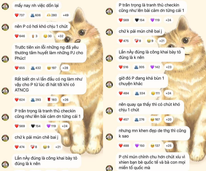 Tăng Phúc lên tiếng xin lỗi sau phát ngôn bị cho là thiếu trân trọng công sức của fan. (Ảnh: FBNV)