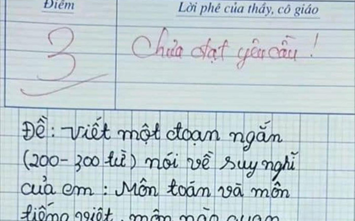 Bài văn khen môn Tiếng Việt chỉ đạt 3 điểm, dân tình phản đối giáo viên Ảnh 2
