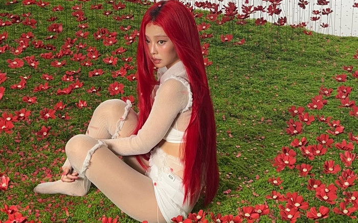 Jennie lại bị chỉ trích Ảnh 2