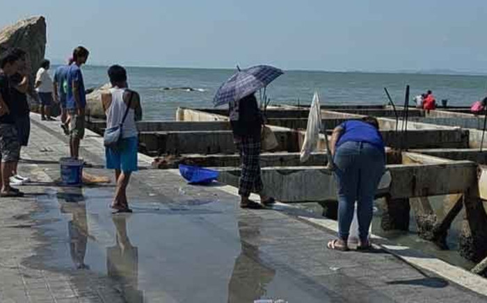 Hàng nghìn sinh vật trôi dạt vào bờ biển, dân làng kéo nhau đi bắt Ảnh 2