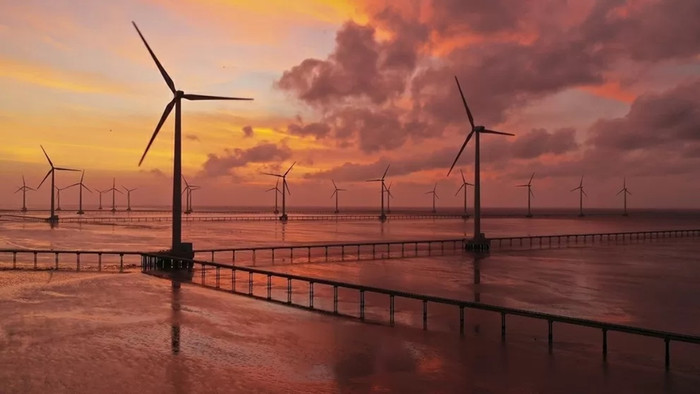 Nhà máy Điện gió Bạc Liêu được xây dựng trên diện tích rộng trên 100ha, công suất 99MW, sản xuất khoảng 320 triệu kW/năm. (Nguồn: TTXVN)