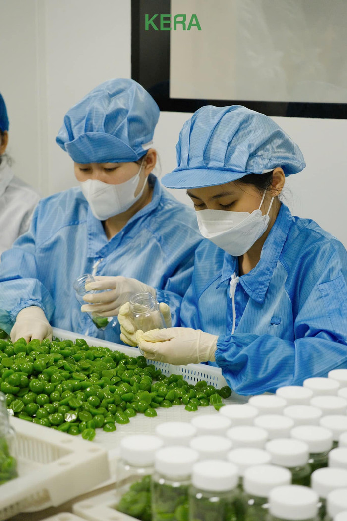 Quy trình được quảng cáo một cách bài bản