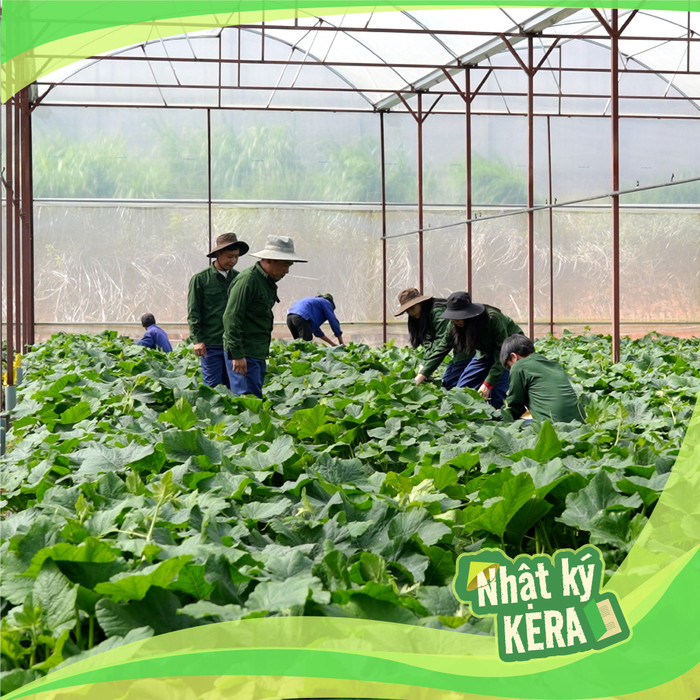 Mọi thứ đều khiến người tiêu dùng tin tưởng