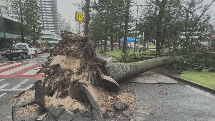 Bão Alfred đổ bộ: Hơn 200 nghìn hộ dân mất điện, tài xế bị cuốn trôi Ảnh 2