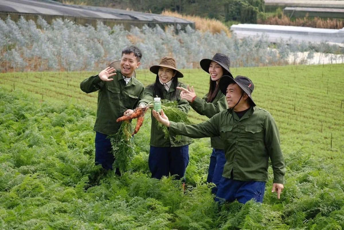 Thùy Tiên, Quang Linh Vlogs và Hằng Du Mục được cho là từng đến vườn rau nơi trồng nguyên liệu làm kẹo rau củ. Ảnh: Sưu tầm
