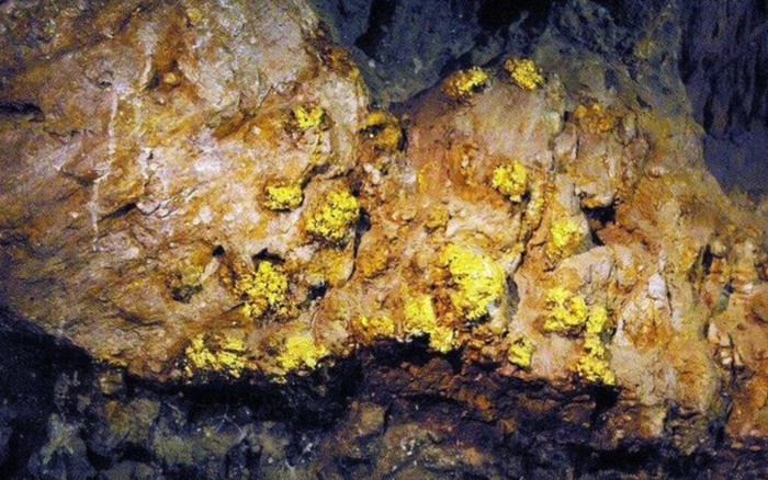 Phát hiện 40 mỏ vàng với trữ lượng gần 30 tấn Ảnh 2