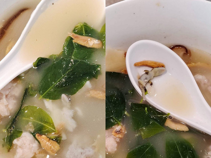 Phát hiện sinh vật lạ nằm trong tô mì đang ăn, người phụ nữ tức giận trước lời giải thích từ nhà hàng Ảnh 1