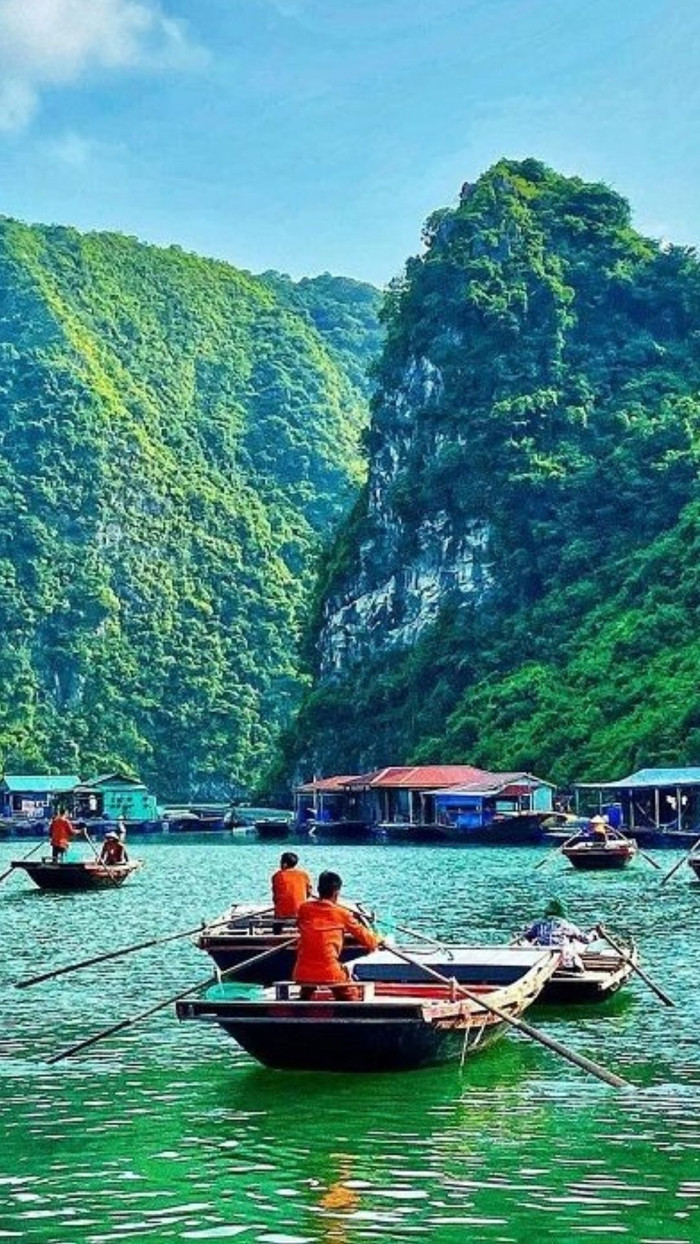 Giữa lòng vịnh Hạ Long có 1 làng chài được ví như 'viên ngọc ẩn', chỉ những người sành đi mới biết Ảnh 4