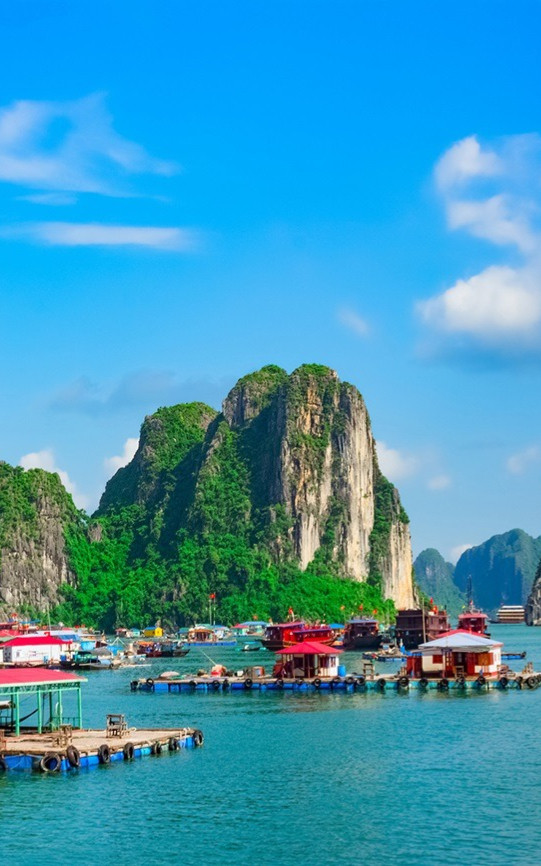 Giữa lòng vịnh Hạ Long có 1 làng chài được ví như 'viên ngọc ẩn', chỉ những người sành đi mới biết Ảnh 1