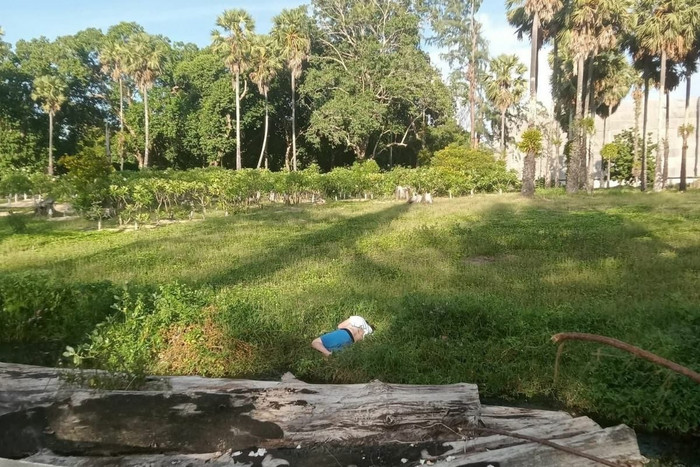 Người đàn ông mất tích sau khi đi ăn tiệc, được tìm thấy đang ngủ trưa tại nơi không ngờ Ảnh 1