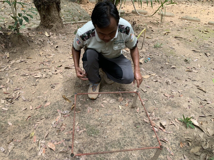 Loài hoa lan mới mỗi năm chỉ nở một lần, nhiều người hiếu kỳ đến chiêm ngưỡng Ảnh 2