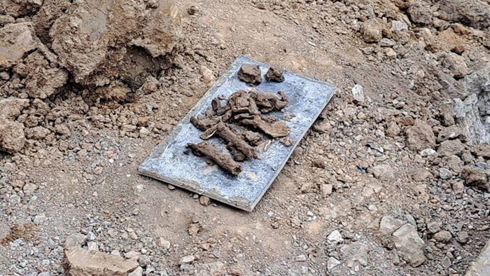 Thi công tại đường ray xe lửa, công nhân sững sờ phát hiện thứ chôn vùi dưới lòng đất Ảnh 2