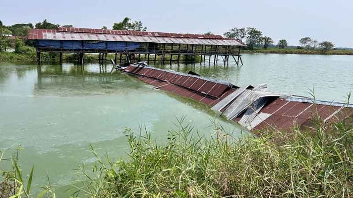 Chủ trang trại khóc nấc vì 900 con gà đang đẻ trứng bị chết đuối Ảnh 1