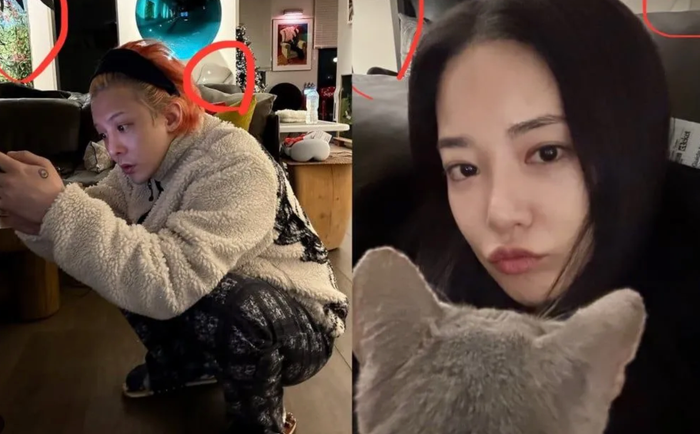 Showbiz 24h: Jooyeon được cho là đã đến nhà riêng của G-DRAGON. Ảnh: Sưu tầm