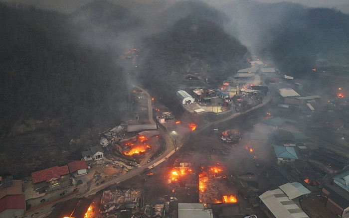 Thảm họa cháy rừng Hàn Quốc: Thiệt hại 14.000 tỷ đồng, gần 4.000 nhà dân bị thiêu rụi Ảnh 2