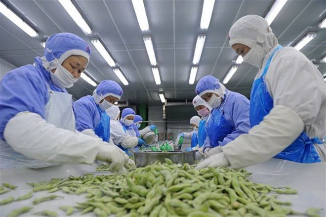 Chuyên gia đề xuất 03 giải pháp đối phó áp lực thuế quan Ảnh 3