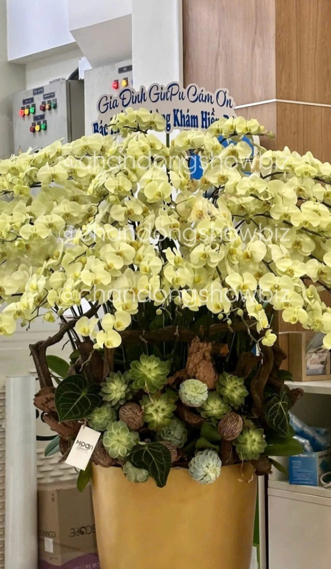 Showbiz 24h: Tấm ảnh được cho là của Puka - Gin Tuấn Kiệt gửi lời cảm ơn đến bác sĩ. Ảnh: Chấn động showbiz