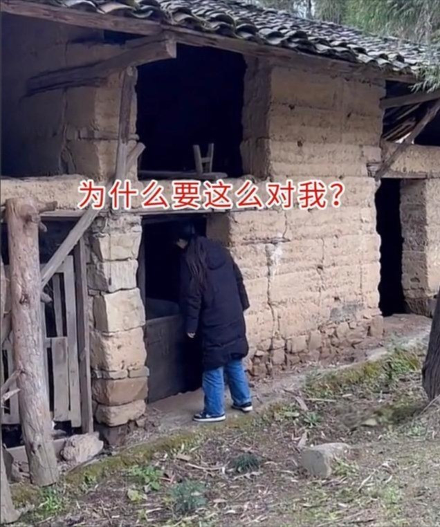 Cô gái trở về nhà sau 2 năm đi làm xa, sốc nặng khi toàn bộ gia đình chồng biến mất Ảnh 2