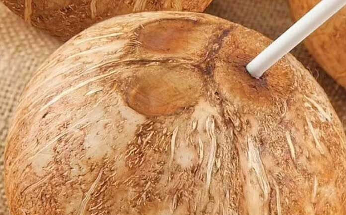 Người đàn ông không qua khỏi sau khi uống nước dừa, bác sĩ đưa ra cảnh báo Ảnh 2