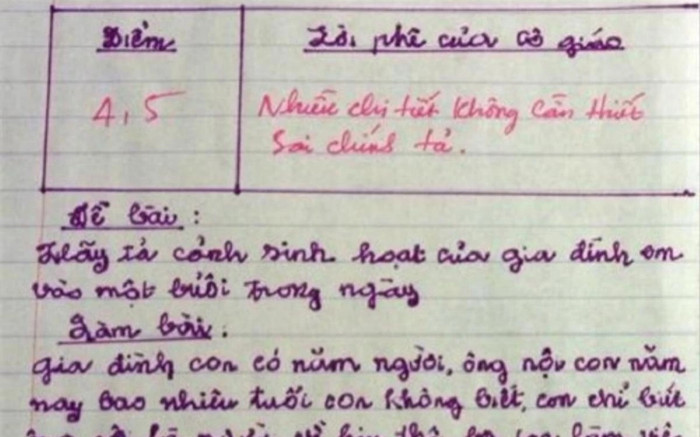 Bài văn 'tả cảnh sinh hoạt trong nhà' đạt 4.5 điểm, cô giáo có lời phê nhận nhiều đồng tình Ảnh 2