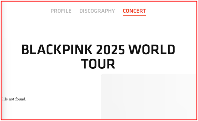 Câu hỏi lớn về chuyến lưu diễn toàn cầu của BLACKPINK Ảnh 2