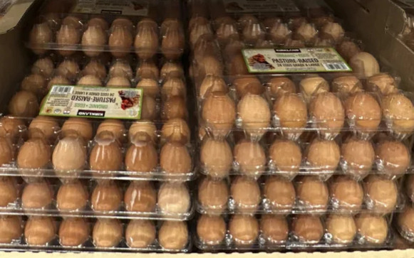 Ngành công nghiệp trứng Mỹ ghi nhận doanh thu kỷ lục giữa khủng hoảng cúm gia cầm Ảnh 2