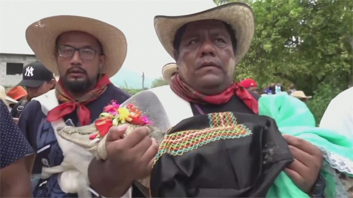 Trưởng làng lấy con cá sấu làm vợ, cho mặc đồ cô dâu trong ngày cưới Ảnh 3