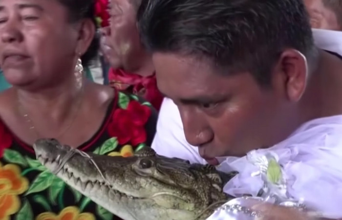 Trưởng làng lấy con cá sấu làm vợ, cho mặc đồ cô dâu trong ngày cưới Ảnh 2
