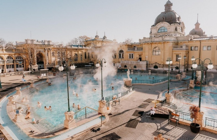 Ảnh: The Common Wanderer