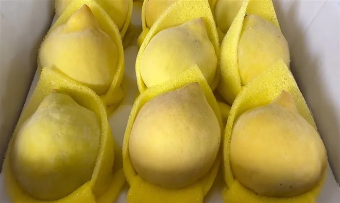 Vườn đào quý gần 2.000 quả bị trộm 'dọn sạch' trong đêm mưa, người nông dân đau lòng Ảnh 1