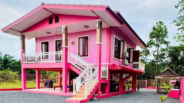 Người đàn ông xây căn nhà màu hồng từ trong ra ngoài để dưỡng già cùng mẹ và bà ngoại Ảnh 1