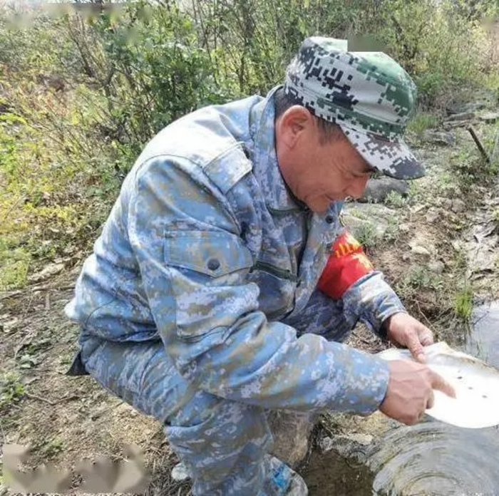 Nghe tiếng động lạ trong bể nước, người đàn ông tìm thấy loài vật 'tuyệt chủng' suốt 30 năm Ảnh 1